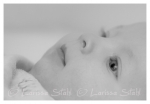18 Babies 2011